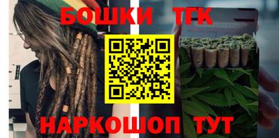 МДПВ Татарск