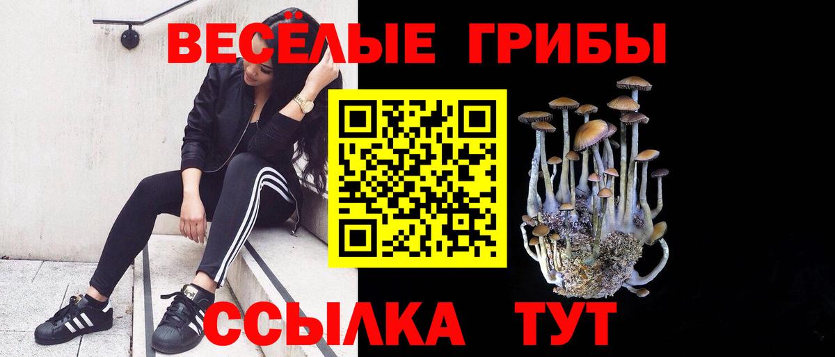 Псилоцибиновые грибы Magic Shrooms Астрахань